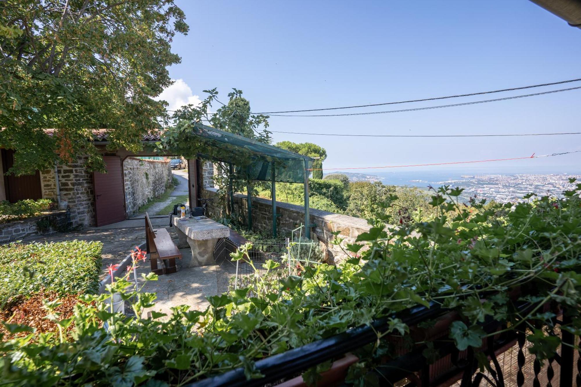 Violet'S Place Črni Kal 외부 사진