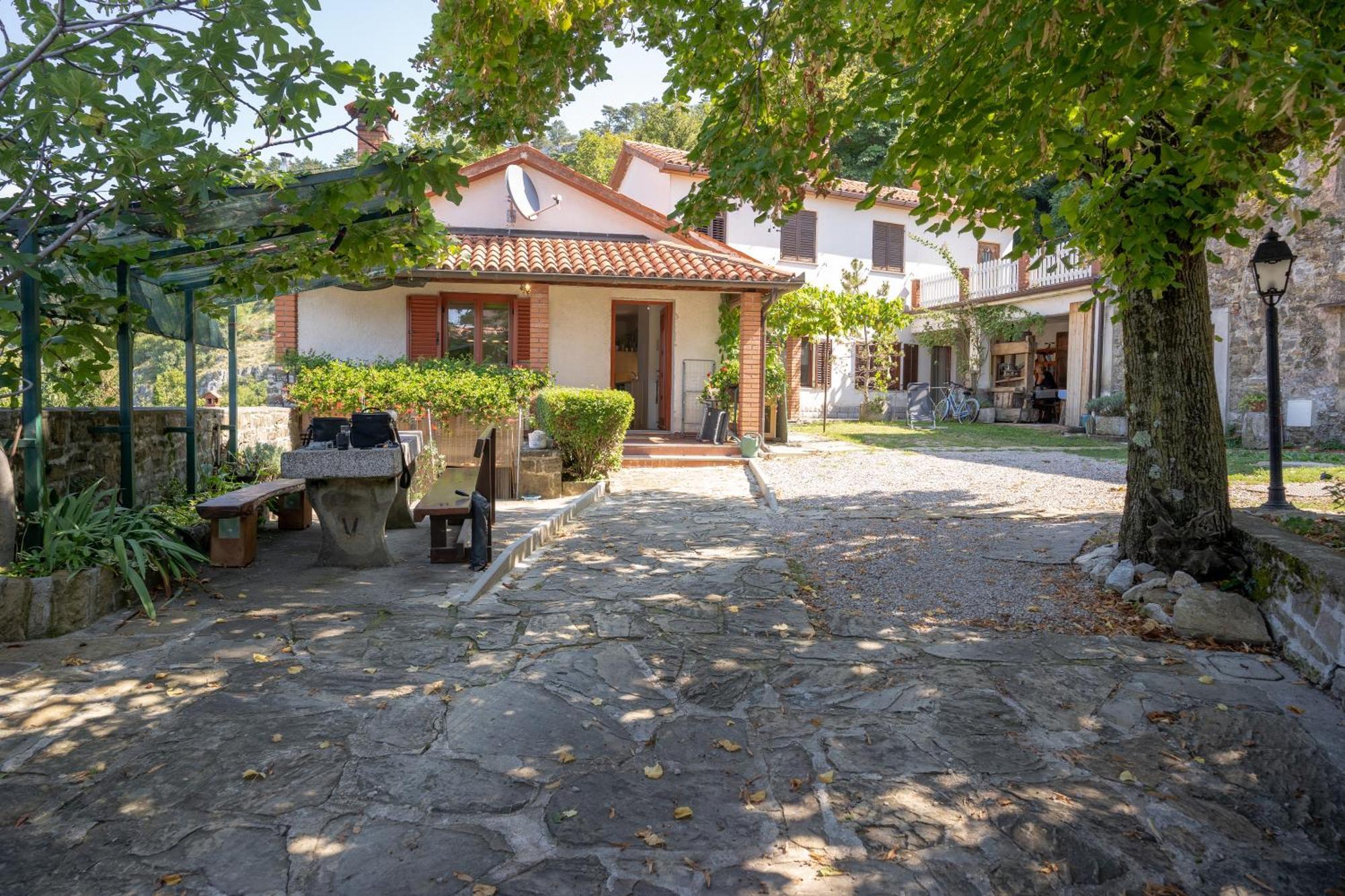 Violet'S Place Črni Kal 외부 사진